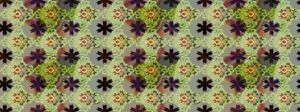 Modern çiçek arkaplanı. Halk tarzı. Moda baskıları için zarif bir şablon. Rengarenk çiçekleri ve yaprakları tarafsız ve gri renklerde olan inanılmaz bir çiçek deseni..