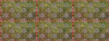 Çiçeksiz desenli arka plan, yaz çiçekleri. Düz Çiçek Elementleri Tasarımı. Renkli Bahar Temalı Kusursuz Arkaplan. Kahverengi renkte çiçekler.