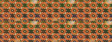 Raster klasik barok çiçeksiz altın desenli. Süslü dekorasyon. Lüks, kraliyet ve Viktorya dönemi konsepti. Altın elementlerle kahverengi renklerde altın desen.