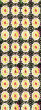 Hediye ambalaj kağıdı, tebrik kartları, posterler ve pankart tasarımı. Tarafsız ve sarı renkte çiçekler. Raster düz çiçek çizim deseni.