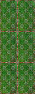 Yeşil ve nötr renklerde Asya tekstil tarzında. Raster illüstrasyonu. Çiçeklerle suluboya desenleri.