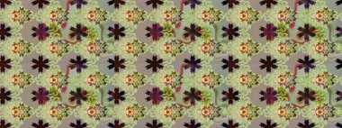 Raster. Sabıka fotoğraflarında, bebek kıyafetlerinde, duvar kâğıtlarında, paket kutularında falan kullanılabilir. Zarif, parlak ve eskiz nötr ve gri çiçek desenli tasarım.