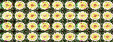 Raster illüstrasyonu. Çiçek duvar kâğıdı. Yeşil ve sarı renkli şirin tekstil tarzında. Renkli çizim kalıbı. Çiçek arka planı.