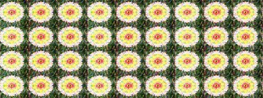 Yeşil ve sarı yapraklı yabani çiçekler. Suluboya, elle çizilmiş. Eskiz arkaplan modeli. Raster illüstrasyonu.