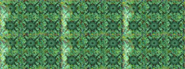 Çiçek deseni. Raster kusursuz. Güzel kumaş deseni. Renkli Bahar Temalı Kusursuz Arkaplan. Düz Çiçek Elementleri Tasarımı.