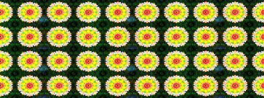 Suluboya çiçekli çiçek deseni. Sarı renkli güzel bir tekstil. Raster illüstrasyonu.