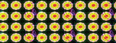 Eskiz Vintage Çiçek Deseni. Raster Kalça dokusu deseni.