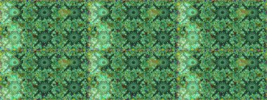 Klasik çiçek tasarımı elementleri. Yeşil ve mavi kıvırcık çiçekler yeşil ve mavi renklerde şekillenir. Raster illüstrasyonu.