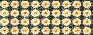 Doğum günü kartı ya da düğün davetiyesi. Raster illüstrasyonu. Suluboya çiçek buketi. Çiçekli tebrik kartı. Tarafsız ve yeşil renklerde. Çiçek arka planı.