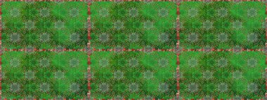 Ağaç dallı bahar çiçekleriyle desen, yeşil renklerde ve çiçek siluetiyle nötr renkler. Raster deseni.