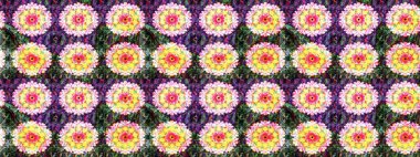 Güzel, parlak, pürüzsüz kumaş, tuval. Desen, çizim, çiçek sınırı. Raster illüstrasyonu. Çiçek çelengi. Eski moda arka plan. Kıvırcık, parlak örgü.