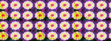 Çiçekli çiçek deseni, suluboya. Küçük çiçekte güzel bir çiçek deseni var. Raster deseni.