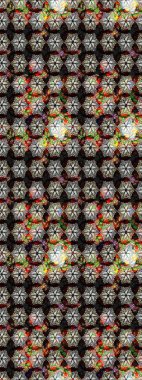 Siyah renkli siyah papatya deseni. Raster illüstrasyonu. Siyah renklerde.