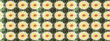 Düz Çiçek Elementleri Tasarımı. Yeşil ve nötr renklerde çiçekler. Sevimli çiçek raster deseni. Renkli Bahar Teması çizim şablonu.