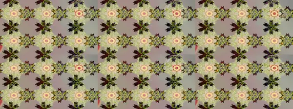 El çizimi çiçekli soyut çizim kalıbı. Gri renkli çiçekler. Raster illüstrasyonu.