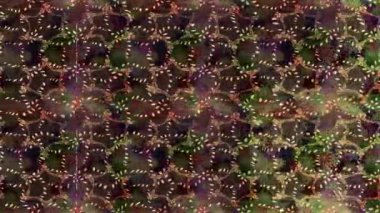 Renkli unsurlarla hareketli arka plan görüntüleri. Çiçekler. Eski model. Bayrak tarzı. Video kaydı. Şablon. Döngü. Kusursuz.. 