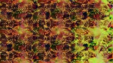 Renkli unsurlarla hareketli arka plan görüntüleri. Çiçekler. Eski model. Bayrak tarzı. Video kaydı. Şablon. Döngü. Kusursuz.. 