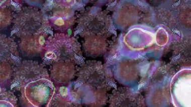 Renkli unsurlarla hareketli arka plan görüntüleri. Çiçekler. Eski model. Bayrak tarzı. Video kaydı. Şablon. Döngü. Kusursuz.. 