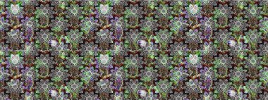 Sınır Kızılderili çiçekli paisley patten. Raster Henna tarzı. Etnik Mandala havlusu. Tebrik kartı geçmişi, boyama kitabı, arkaplan ve tekstil için kullanılabilir. Taslak süsleme izi.