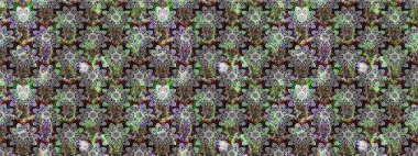 Sınır Kızılderili çiçekli paisley patten. Raster Henna tarzı. Etnik Mandala havlusu. Tebrik kartı geçmişi, boyama kitabı, arkaplan ve tekstil için kullanılabilir. Taslak süsleme izi.