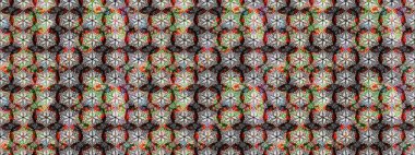 Parlak renkli çiçekleri ve gri renkli yaprakları olan harika bir çiçek deseni. Moda baskıları için zarif bir şablon. Modern çiçek arkaplanı. Halk stili.