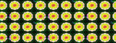 Küçük bir çiçekte eskiz deseni. Güzel kumaş deseni. Hoş bir çiçek geçmişi var. Raster illüstrasyonu.