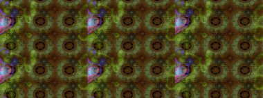 Asya tekstil tarzında. Raster illüstrasyonu. Kahverengi renkli çiçekler. Düz Çiçek Elementleri Tasarımı. Çiçek desenli çizim. Renkli Bahar Teması çizim şablonu.