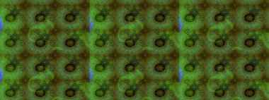 Raster çiçek izi. Klasik taslak çizimi. Çiçek yeşili eskiz deseni. Raster Yumuşak kumaş deseni.