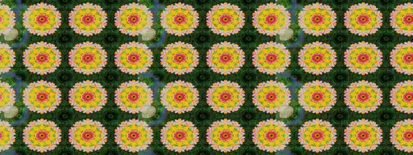 Soyut etnik raster çizim kalıbı. Çiçekler. Vadinin yeşil renkli çiçekleri.