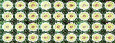 Raster illüstrasyonu. Çiçek ve yapraklı karalama şeklinde Raster çiçek deseni. Yumuşak, bahar çiçekleri yeşil ve nötr renklerde.