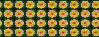 El çizimi Raster çizimi. Çizim çiçek deseni duvar kağıdı, web sitesi arka planı, ambalaj kağıdı, davetiye, broşür, afiş veya web sitesi için kullanılabilir. Parlak elementlerin.