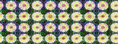 Modern gelişim yeşil raster arka plan duvar kâğıdı illüstrasyonu klasik çizgili, desenli desenli çiçekler, çiçekli süsler. Çiçekli el çizimi çizimi deseni.