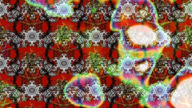 Gri renkler ve parlak çiçekler üzerine soyut çizim deseni. Çiçeksel elementlerle süslenmiş zarif raster dokusu. Küçük çiçekte şirin bir çiçek deseni var..