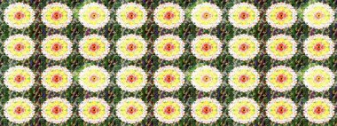 Güzel kumaş deseni. Raster illüstrasyonu. El çizimi. Çiçekler, dallar, otlar ve çiçekler.