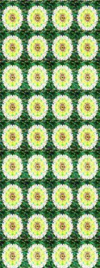 Çiçek arkaplan. Güzel kumaş deseni. Çizim raster deseni.