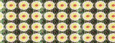 Şirin, zarif çiçekler Raster illüstrasyonu. Tekstil için figür. Davetiye ve kartpostal tasarımı için dekoratif çiçek unsurları. Yapraklı çizim şekli. Poster veya kapak için arkaplan.