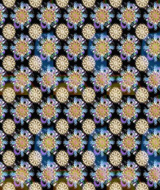 Parlak renkli çiçekli ve siyah yapraklı harika bir çiçek deseni. Moda baskıları için zarif bir şablon. Modern çiçek arkaplanı. Halk stili.