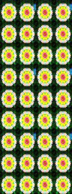 Sarı renklerde. Raster illüstrasyonu. Sarı renkli sarı papatya deseni.