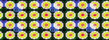 Çiçekli eskiz çizimi. Düz Çiçek Elementleri Tasarımı. Renkli Yaz Temalı eskiz kalıbı. Sarı renkte çiçekler.