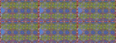 Kusursuz bir arka plan modeli. Suluboya, elle çizilmiş. Raster illüstrasyonu. Gri yapraklı yabani çiçekler.