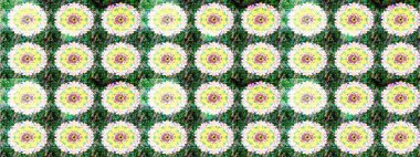 Moda arka planında parlak buketler. Eski usul küçük çiçekli şirin bir eskiz deseni. Kumaş, duvar kağıdı ve kağıt üzerine baskı yapmak için gelişen arka plan. Raster illüstrasyonu.