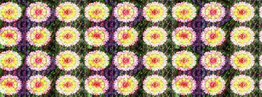 Tropik çiçekler. Gömlek, arka plan modelini çiz. Tarafsız renklerde çiçekler.