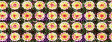 Çiçek ve yapraklı çiçek deseni. Raster illüstrasyonu. Küçük çiçekli şirin desen.