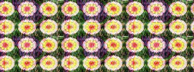 Parlak renkli çiçekli ve yeşil yapraklı harika bir çiçek deseni. Halk tarzı. Moda baskıları için zarif bir şablon. Modern çiçek arkaplanı.