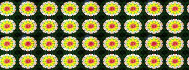 Eskiz arkaplan modeli. Raster - stok. Yapraklı çiçekler ve sarı renkli papatya çiçekleri..