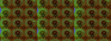 Çiçekli karalama şeklinde Raster çiçek deseni. Raster illüstrasyonu. Nazikçe, yaz çiçekleri kahverengi renklerde.