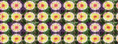 Parlak renkli çiçekli ve yeşil yapraklı harika bir çiçek deseni. Halk tarzı. Moda baskıları için zarif bir şablon. Modern çiçek arkaplanı.