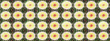 Raster - stok. Suluboya, elle çizilmiş. Vadinin yeşil renkli çiçekleri. Taslak arkaplan deseni.