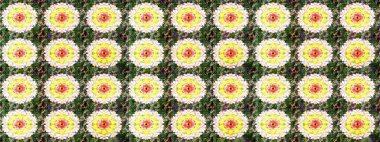 Yeşil renkli çiçekler. Tekstil ve kapak tasarımı için mükemmel. Doodle tarzı. Elle çizilmiş sonbahar çiçeği deseni. Renkli yeşil çizim deseni.