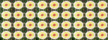 Raster geleneksel çiçek buketi yeşil ve sarı renkli tekstil tasarımı için. Üzerinde gelincikler ve vadi zambakları olan renkli çiçek desenli nakış..